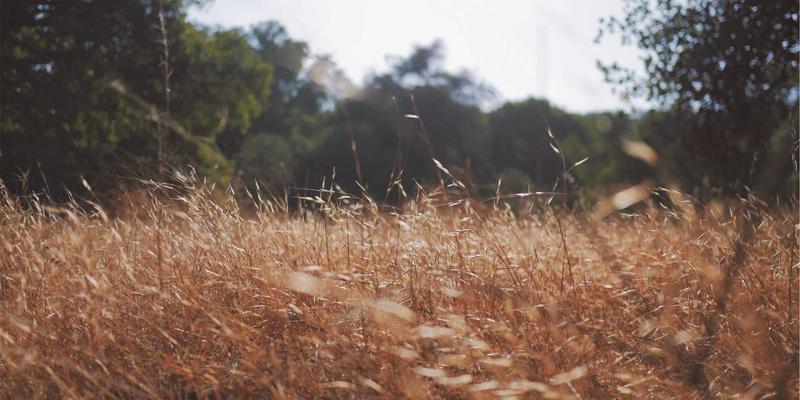 B2B市场调研的决胜之道：聚焦决策单元与采购流程的数据研究与情报分析
