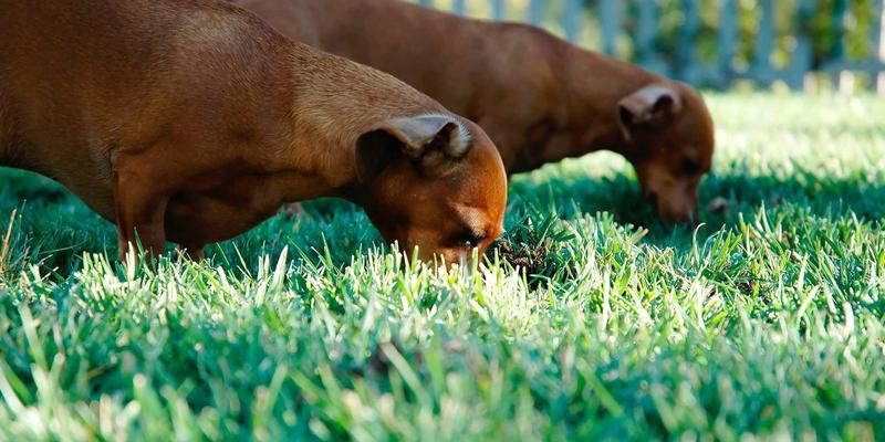 商业分析、市场洞察与竞争情报：市场调研的三维竞争力对比