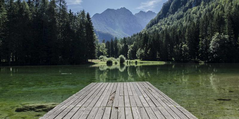 市场洞察与商业分析的关键：如何设计高效的市场调研问卷