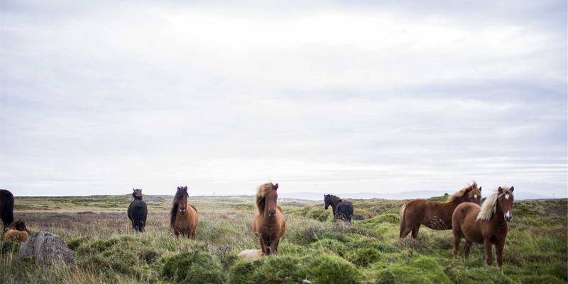 市场调研3.0时代：情报分析与商业分析的融合之道