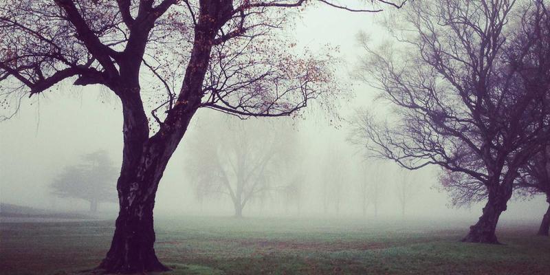 市场调研55：解锁市场洞察、商业分析与竞争情报的黄金三角