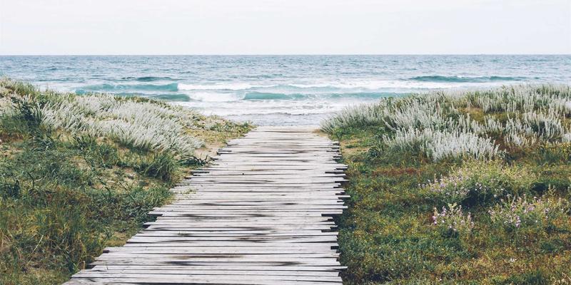 市场调研83：解锁商业分析、市场洞察与竞争情报的协同力量