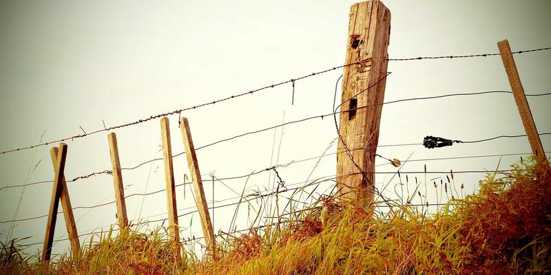 市场调研中的隐私合规与数据伦理:GDPR与CCPA对情报收集的约束与创新