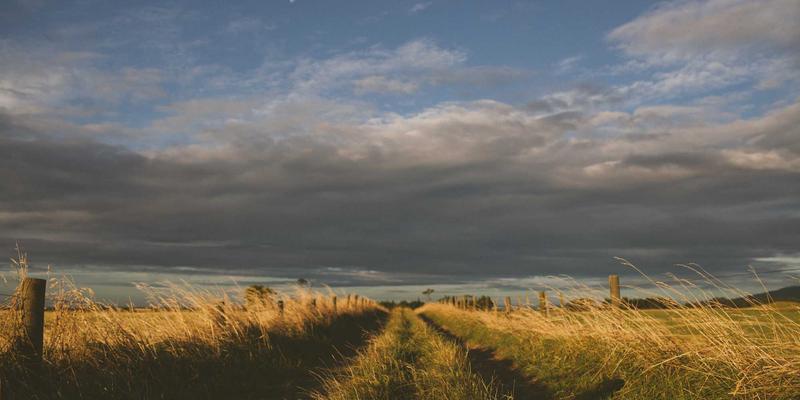 市场调研如何驱动新产品成功：从概念测试到上市前评估的商业分析全流程