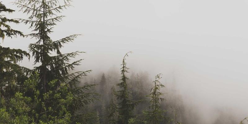 市场调研完全指南：从数据研究到商业洞察的实战教程