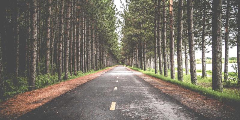 情报分析与市场洞察：如何通过竞争情报发现小众市场的隐藏蓝海