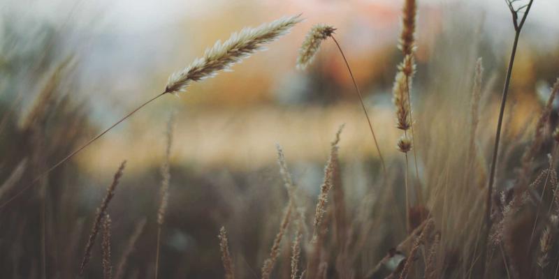 数据研究与商业分析新前沿：眼动追踪与神经科学如何解码消费者潜意识市场洞察