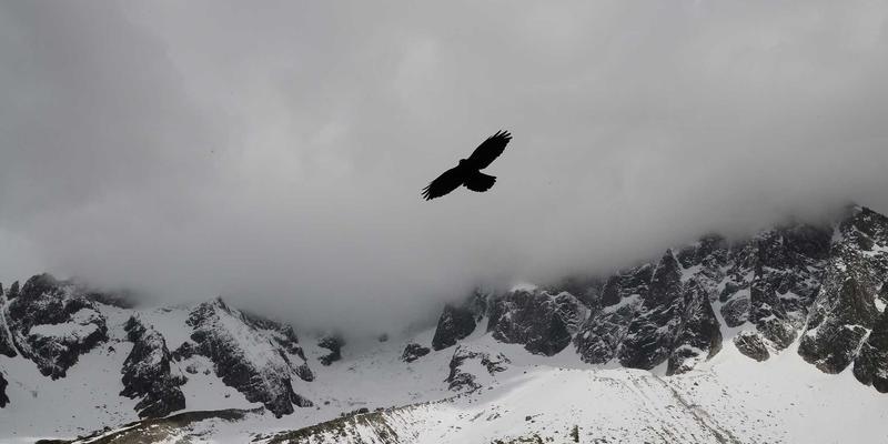 超越问卷：如何利用眼动追踪与神经科学进行深层数据研究，获取精准市场洞察与商业分析