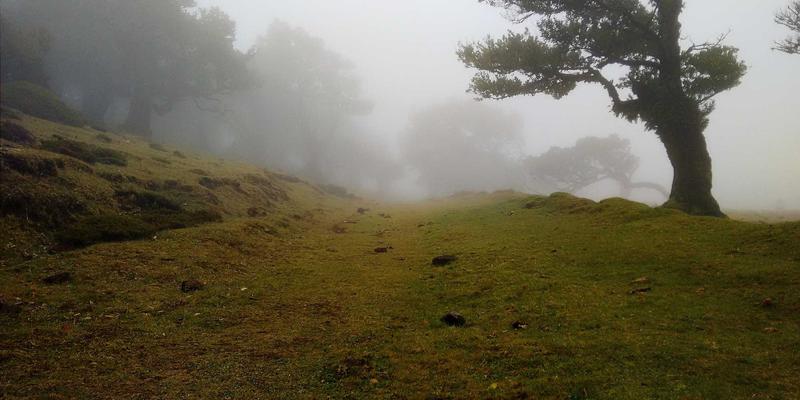 跨越文化鸿沟：文化差异如何重塑国际市场调研的方法论、问卷设计与洞察解读